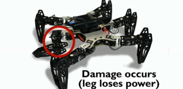 Especialistas da França e dos EUA desenham robôs capazes de se adaptar depois de uma amputação ou avaria - Reprodução/ Nature