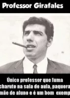 Fotos: Eles também se divertem: Professores publicam memes sobre a