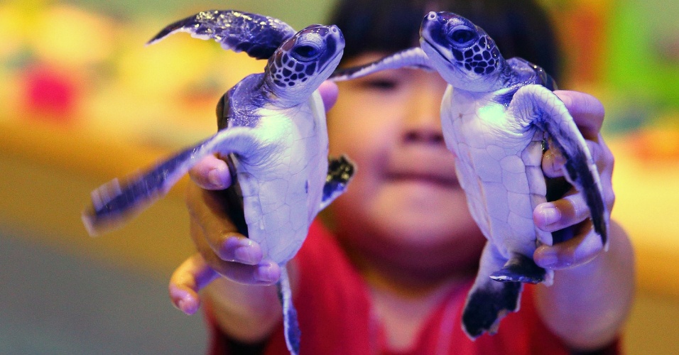 29.mai.2015 - Criança brinca com tartarugas em aquário de Pequim, na China