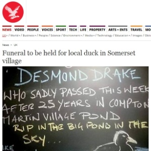Placa em bar faz homenagem ao pato Desmond Drake, que morreu na boca de uma raposa, em um vilarejo de Somerset - Reprodução/Independent