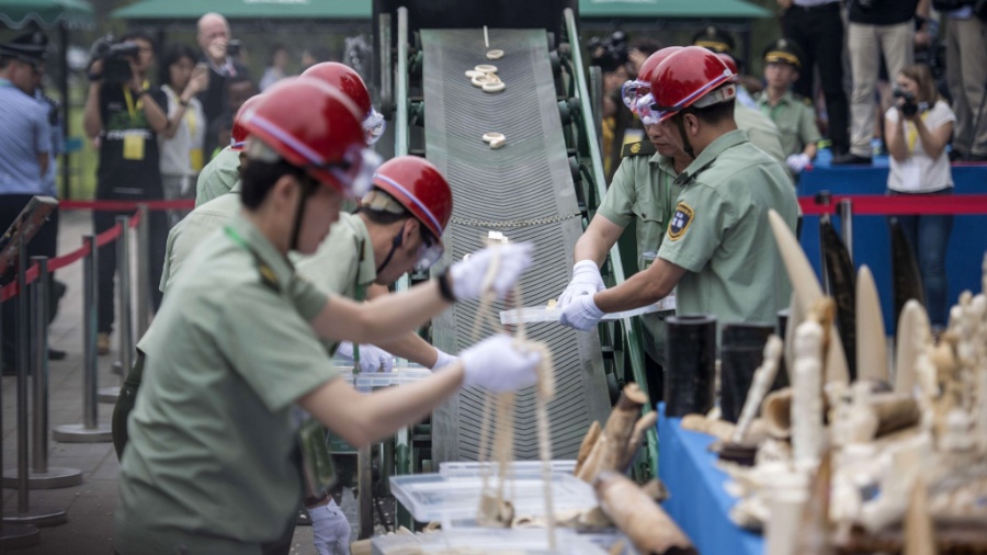 Trabalhadores colocam objetos feitos de marfim em máquina em Pequim - Fred Dufour/AFP