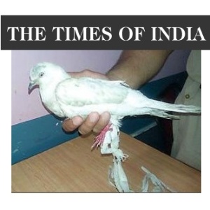 Reprodução/The Times of India