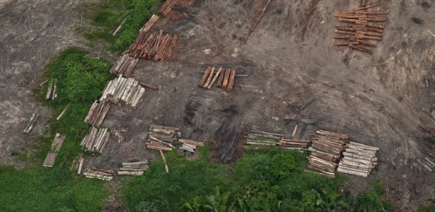 Serrarias de Uruará, no Pará, flagradas em operação durante sobrevoo do Greenpeace - Rogério Assis/Greenpeace - 9.jun.2015 - 