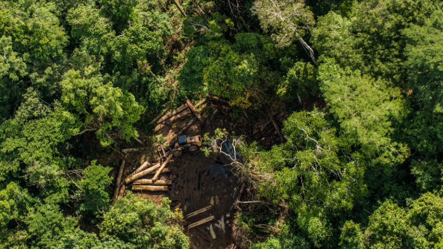 Desmatamento de floresta em Uruará (PA) - Fábio Nascimento - 9.jun.2015 /Greenpeace