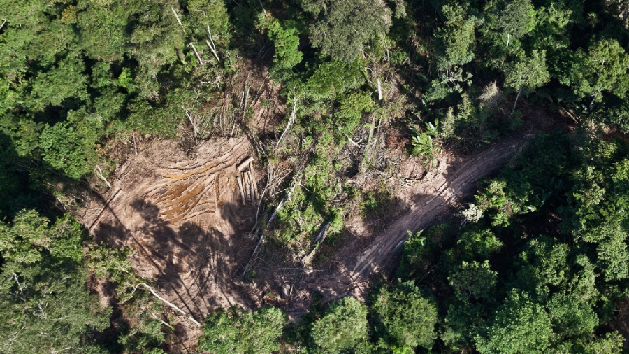9.jun.2015 - Uma investigação do Greenpeace sobre extração ilegal de madeira flagrou vias abertas na terra indígena Cachoeira Seca, no Pará - Rogério Assis/Greenpeace