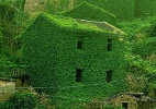 Natureza retoma vila abandonada de pescadores na China - Tang Yuhong