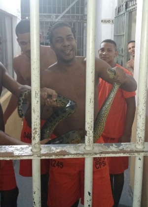 Uma cobra foi encontrada por presos dentro de uma das celas da penitenciária Lemos Brito, na Bahia - Sinspeb (Sindicato dos Servidores Penitenciários da Bahia)