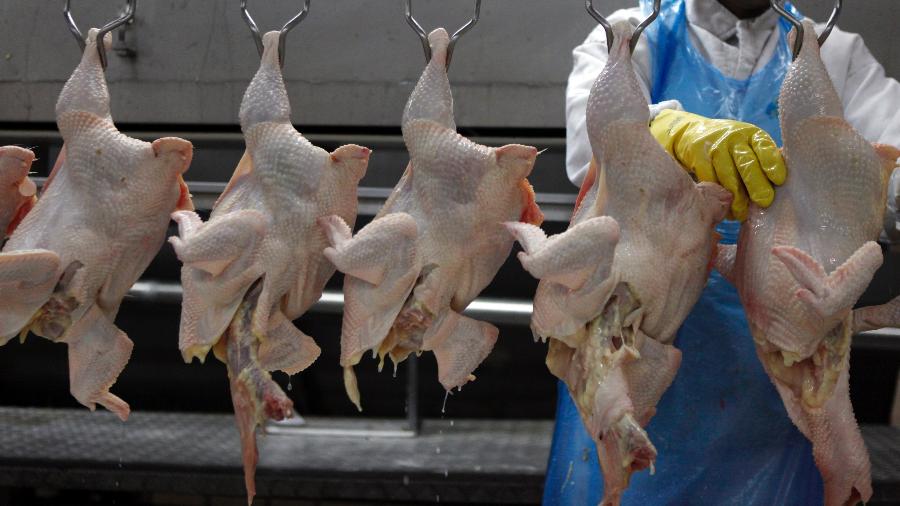 Processamento de carne de frango em frigorífico em Itatinga (SP) - Paulo Whitaker