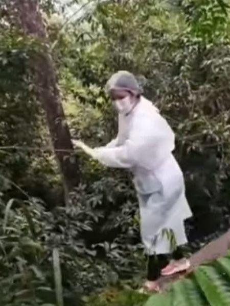 Enfermeira pisa com cuidado em tronco de árvore e segura em cipó para imunizar comunidade de Massaranduba - Reprodução/Facebook