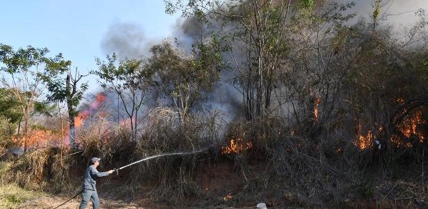 Incêndio segue devastando reservas florestais em Presidente Prudente - Vimarsana News