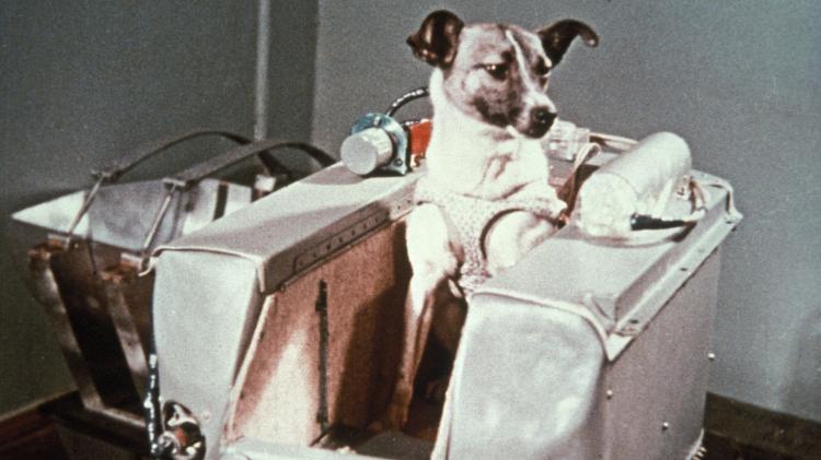 3.nov.1957 - Cientistas apresentam Laika antes de ela embarcar na cápsula Sputnik 2 e ser enviada ao espaço 3.nov.1957 - Cientistas apresentam Laika antes de ela embarcar na cápsula Sputnik 2 e ser enviada ao espaço