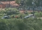 Fugitivos de Mossoró: Vídeos mostram momento da prisão perto de Marabá (PA) - Reprodução/Redes sociais