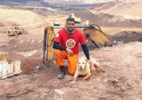 Cão que atuou nas buscas após desastre de Brumadinho morre em Brasília (DF) - CBMDF/Instagram