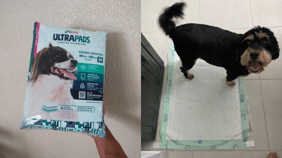 Tapete higiênico para cães possui 30 unidades