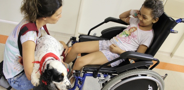 Resultado de imagem para Projeto de lei pode liberar a entrada de animais de estimação em hospitais de São Paulo.