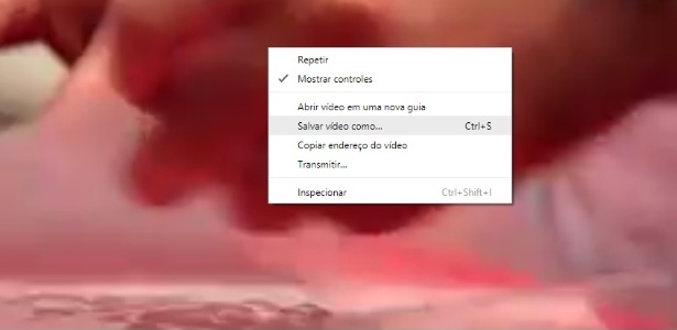 Reprodução Reprodução