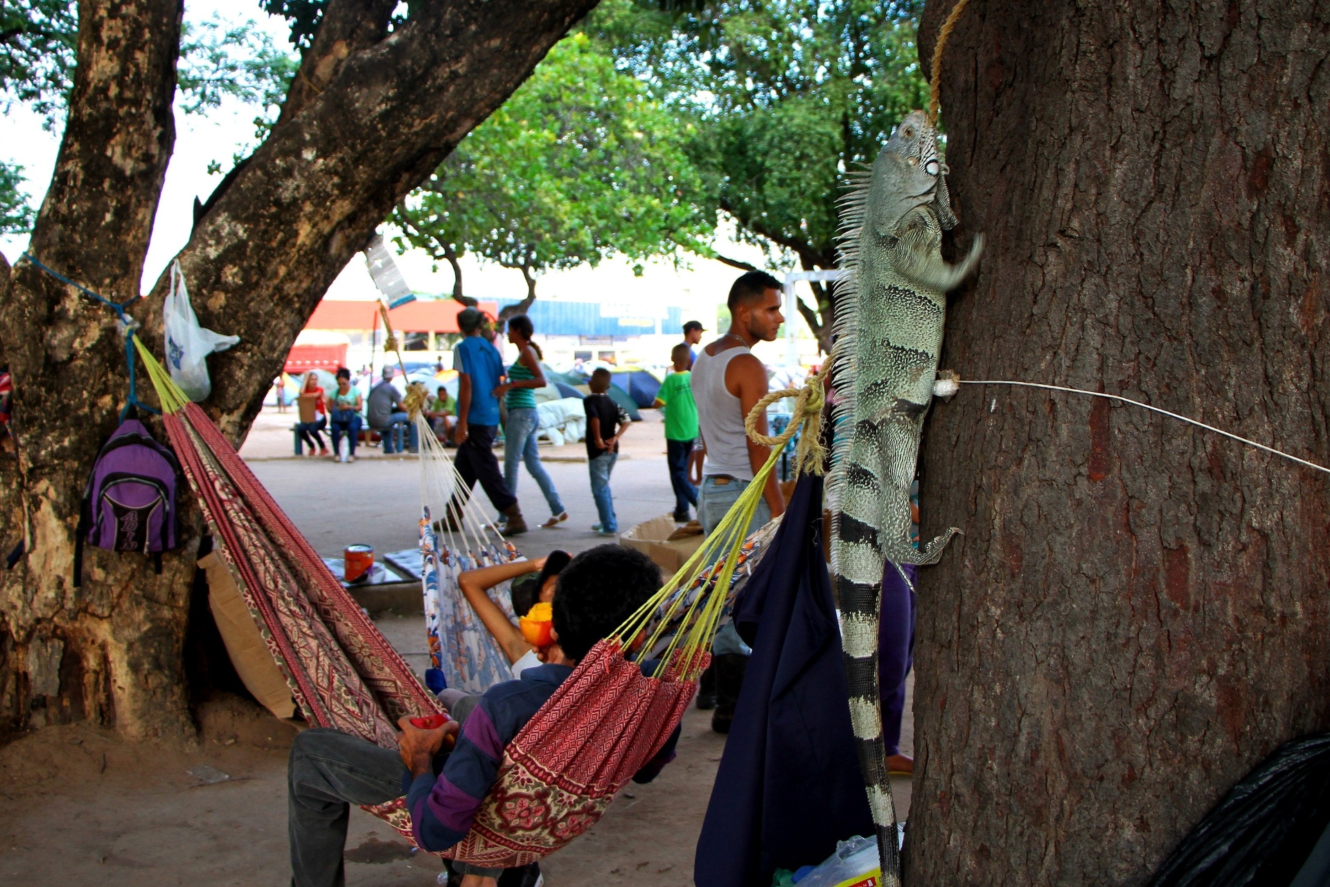 EDMAR BARROS/FUTURA PRESS/ESTADÃO CONTEÚDO
