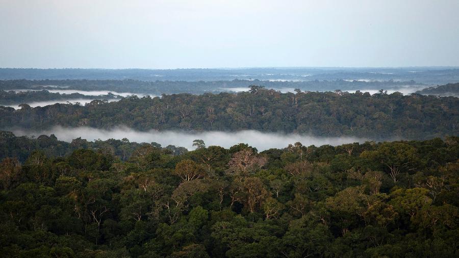 Vista da floresta amazônica em São Sebastião do Uatumã (AM) - Bruno Kelly