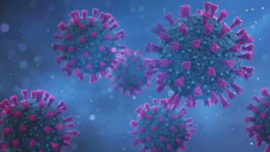 Seis casos da variante indiana do novo coronavírus já foram confirmados no Maranhão - Reprodução/Getty Images