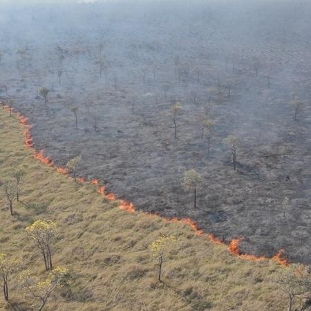 Imagem aérea da queimada ocasionada em manutenção dos trilhos administrados pela Rumo em Corumbá (MS) - Ibama