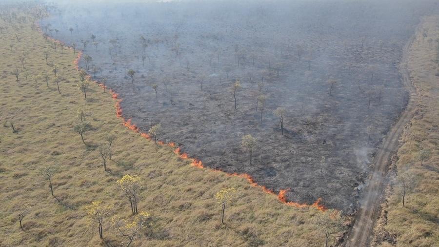 Imagem aérea da queimada ocasionada em manutenção dos trilhos administrados pela Rumo em Corumbá (MS)