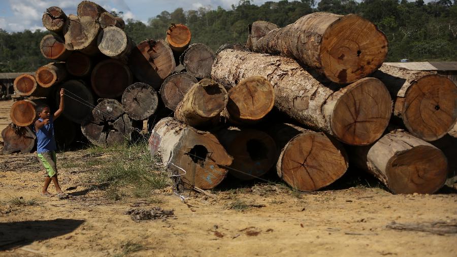 Garoto empina pipa ao lado de madeira extraída da Amazônia no Pará - Reuters