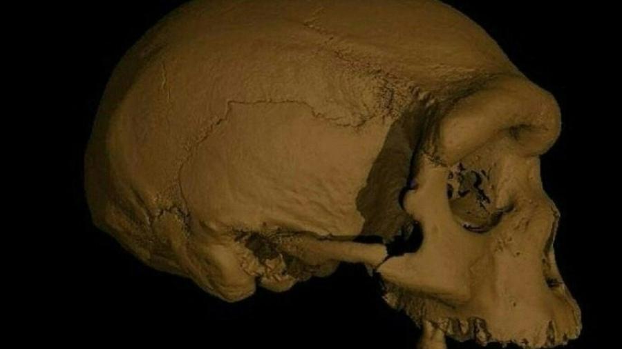 25.jun.2021 - Reconstrução virtual do crânio que cientistas anunciaram terem descoberto na China - Xijun Ni / EUREKALERT! / AFP