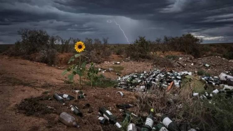 Nature is coming back - BERTUS HANEKOM / NATURE TTL - BERTUS HANEKOM / NATURE TTL