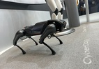 MWC 2023: cães-robô e novos celulares dobráveis roubam a cena na feira tech - Marcella Duarte/Tilt