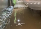 Comporta vaza e ruas de Porto Alegre são invadidas pela água do Guaíba - Reprodução/Twitter
