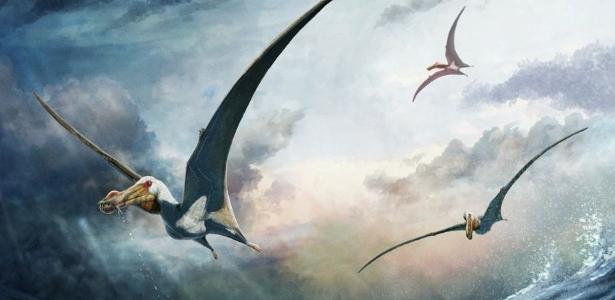 Fósseis de réptil voador 'fantasma do mar' são encontrados na Austrália