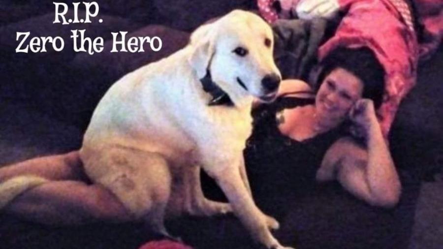 O cãozinho Zero tentou salvar a família, mas acabou morrendo baleado - Reprodução