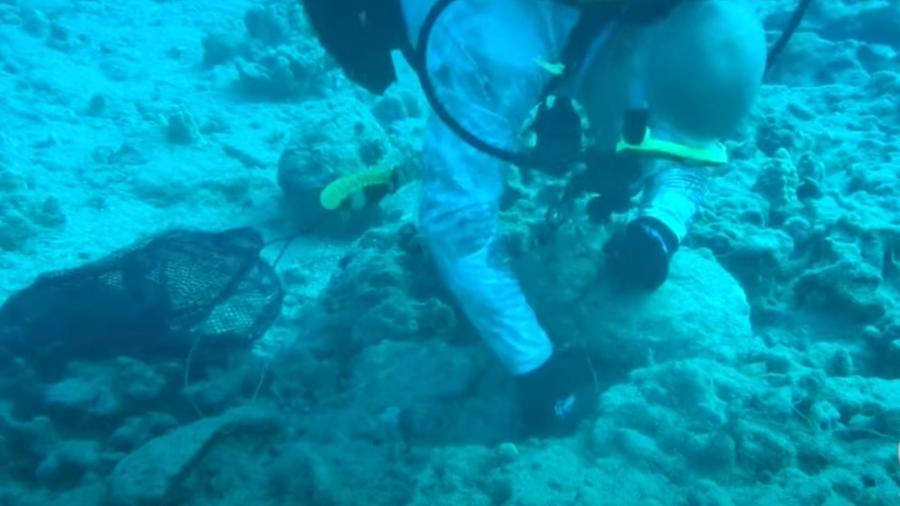 Mergulhador resgata câmera GoPro nas águas do mar do Havaí  - Reprodução/Youtube/KHON2 News