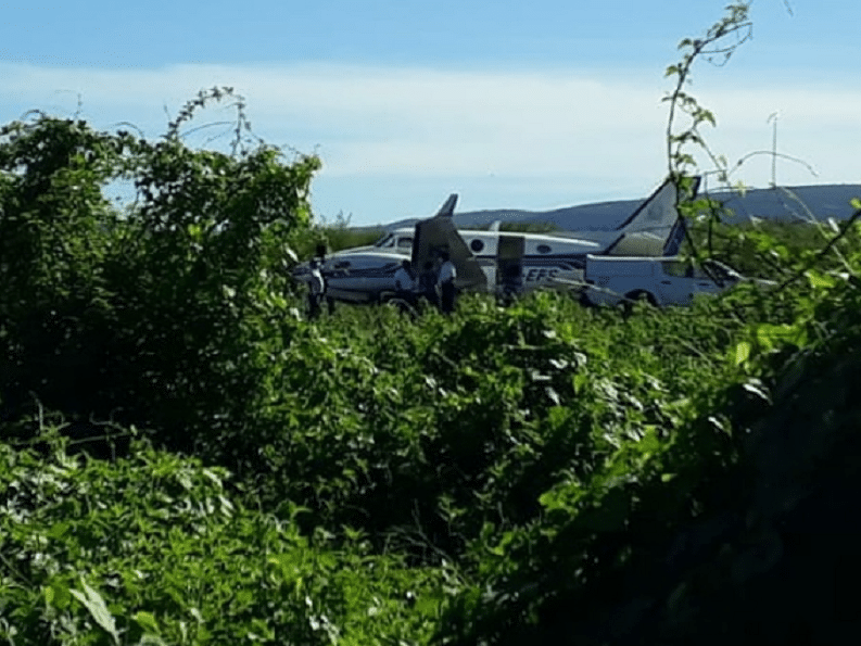Avião com vacinas contra covid bate em jumentos ao pousar na BA