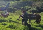 Idoso é resgatado a cavalo e helicóptero após ficar ilhado em MG - Divulgação/PMMG