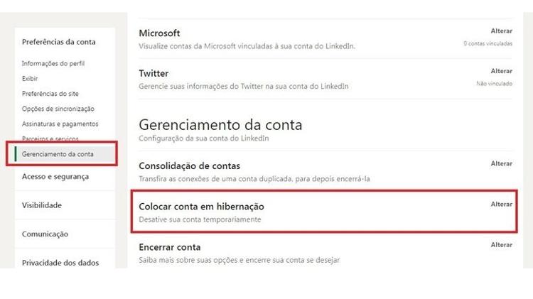 Hibernação no LinkedIn - Reprodução - Reprodução