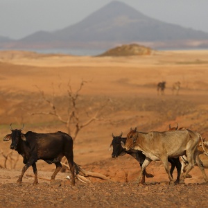 Carlos Garcia Rawlins/Reuters Carlos Garcia Rawlins/Reuters