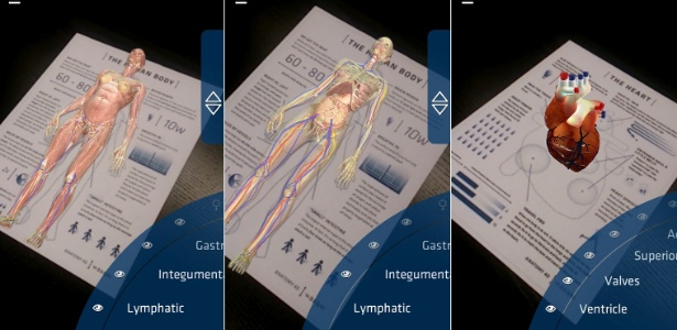 4D Anatomy - Outreach - Outreach