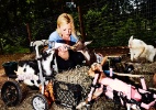 Cabras ganham espaço entre os pets e viram celebridades das redes sociais - Amy Lombard/The New York Times