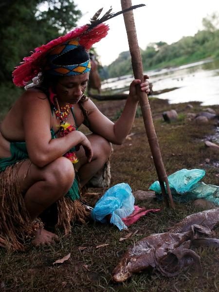 29.jan.2019 - Mulher indígena da tribo Pataxó Hã-hã-hãe observa um peixe morto nas margens do rio Paraopeba, em São Joaquim de Bicas, próximo a Brumadinho (MG). O rio foi atingido pelos rejeitos de minérios da barragem da Vale que rompeu no dia 25. Segundo a Funai, mais de 80 indígenas da tribo vivem na aldeia Naõ Xohã, às margens do Paraopeba - Adriano Machado/Reuters