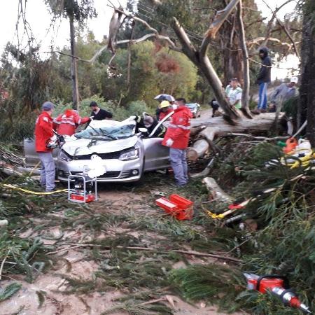 Carro em que Miraci Fernandes estava foi atingido por árvore durante o ciclone - Arquivo pessoal 