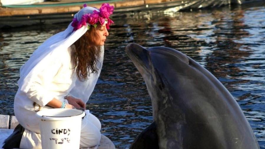 Sharon Tedler realizou "casamento" com golfinho - Reprodução