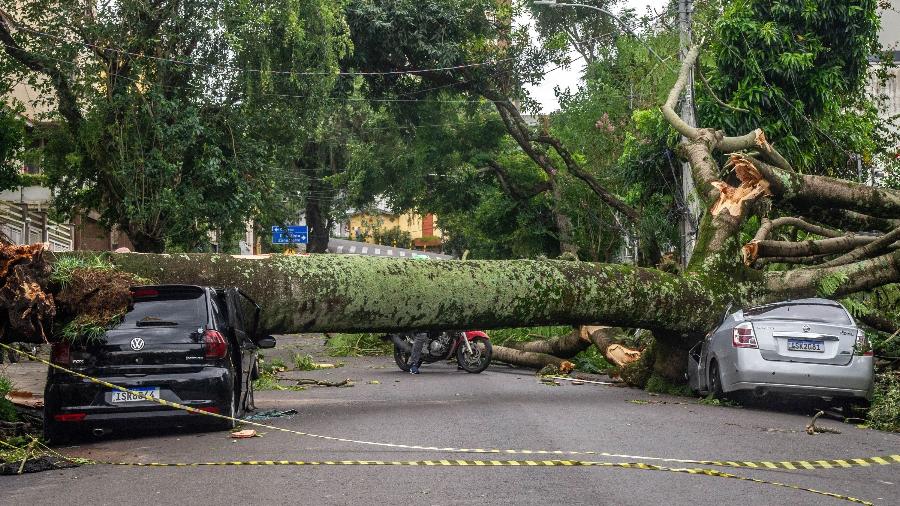 Ventos de mais de 100 km/h atingiram cidades do Rio Grande do Sul na terça-feira (16)