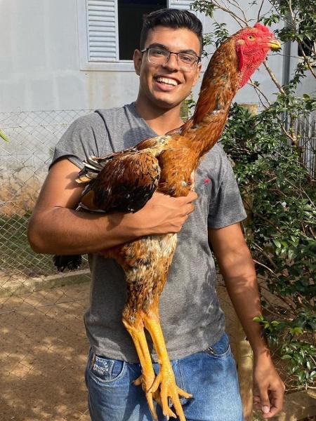 Guilherme Bueno, 20, e um de seus galos da raça Índio Gigante