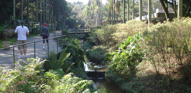 Córrego Pirarungaua reaberto no Jardim Botânico, em São Paulo - Jardim Botânico/Divulgação - Jardim Botânico/Divulgação