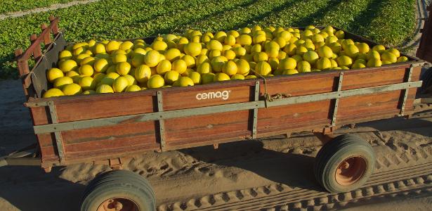 Comissão aprova uso do Fundo Social para renegociar dívidas do agro