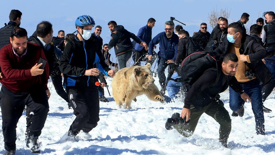 Pessoas correm em busca de um lugar seguro enquanto ativistas curdos de direitos dos animais soltam um urso na natureza em Dohuk, Iraque - Ari Jalal/Reuters