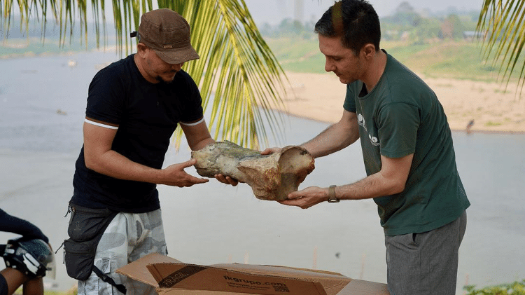 Fóssil de preguiça gigante foi encontrado por casal ribeirinho