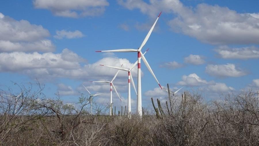 Gerar energia renovável mediante a força dos ventos é uma importante estratégia para que o Brasil cumpra suas metas de desenvolvimento sustentável - Marilia Barros
