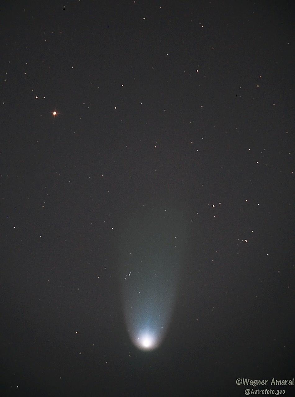Imagen del cometa Leonard tomada por Wagner-Amaral-Campinas / SP-Wagner-Amaral-Campinas / SP